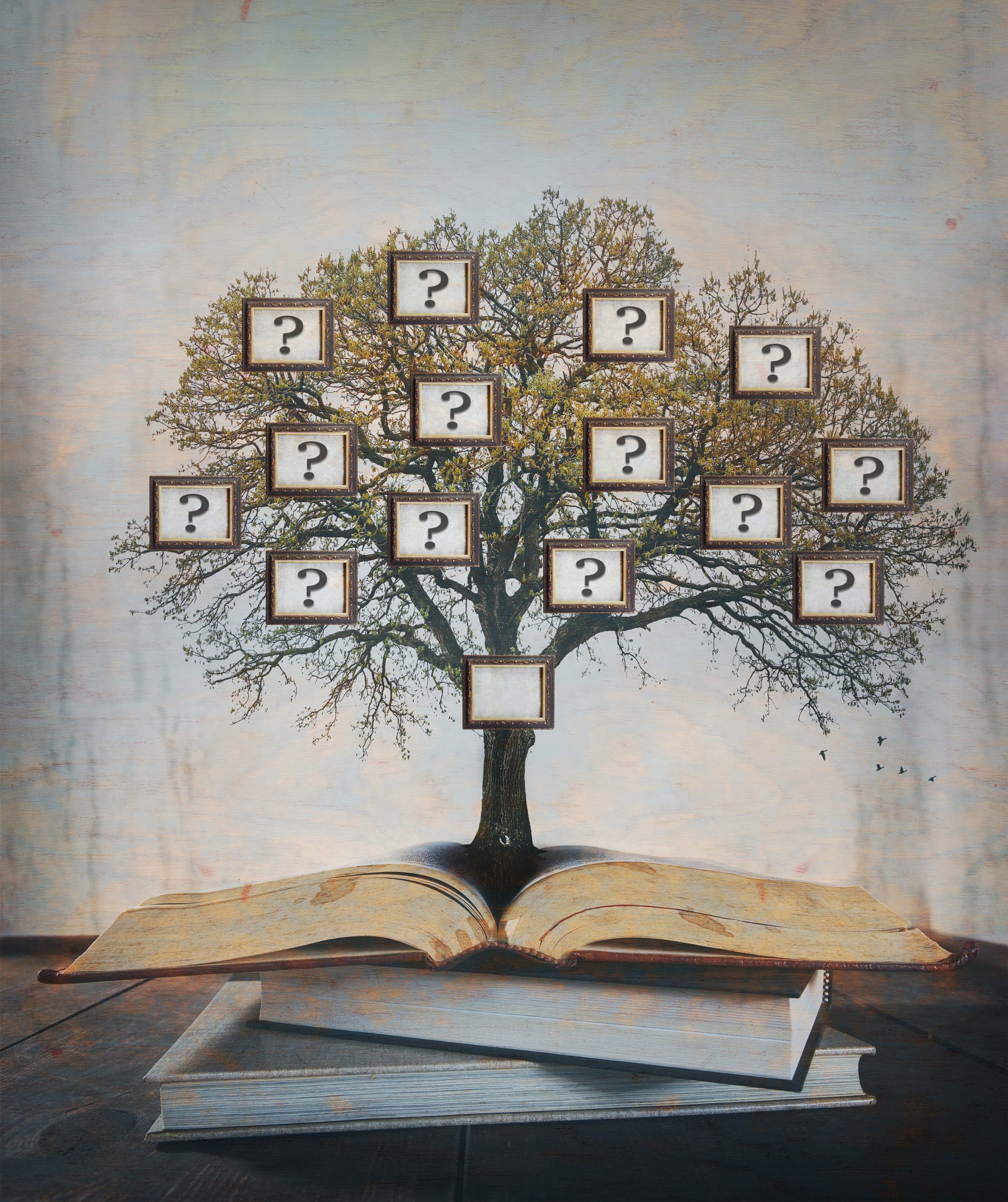Are you researching your morones family roots? Start your genealogy search effectively with these helpful tips.